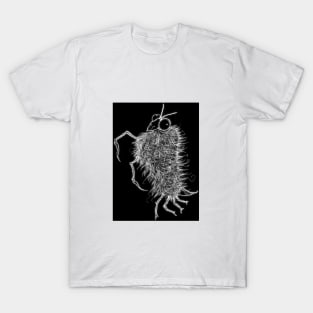 A HAIRY, FURRY MANTID T-Shirt